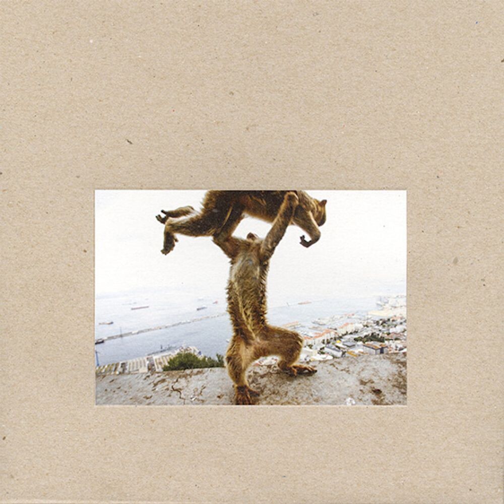 

Диск CD Dude Incredible - Shellac