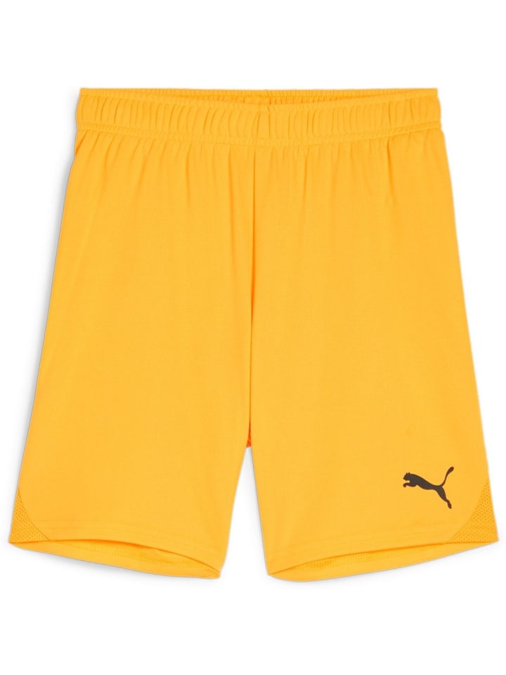 

Спортивные шорты TeamGoal Shorts Jr оранжевого цвета Puma