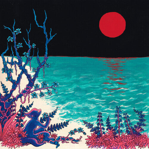 

CD диск Glass Beach: the first glass beach album
