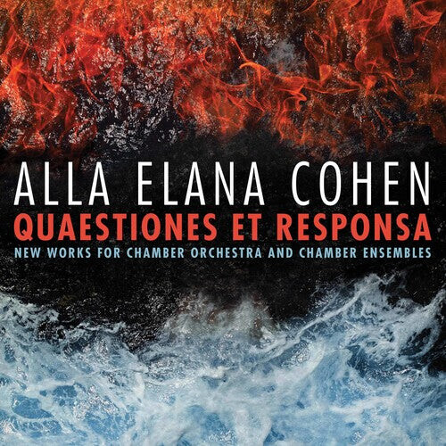 

CD диск Cohen: Quaestiones Et Responsa