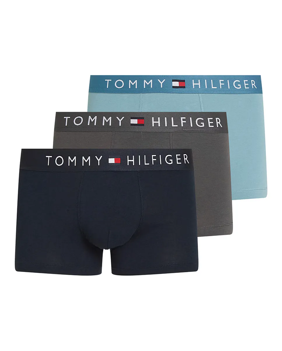 

Кол-во в упаковке 3 вязаных боксера Tommy Hilfiger, многоцветный