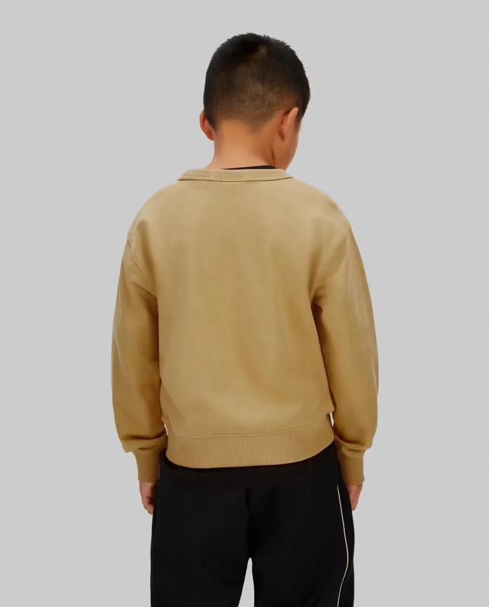 Толстовка для мальчика в стиле varsity Calvin Klein, коричневый — фото 2