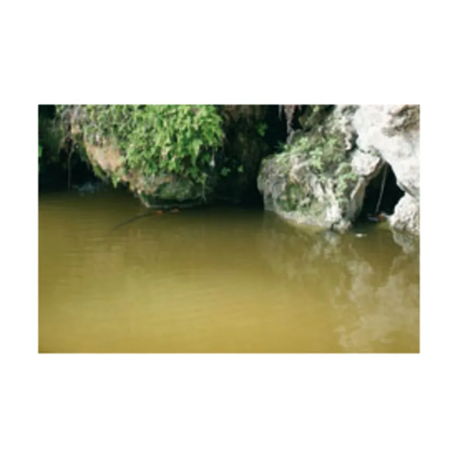 

Стоячая вода, Pigments
