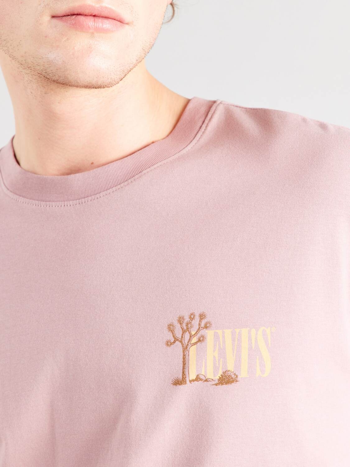 LEVI'S  Футболка 'Graphic Boxy Tee' в цвете Rose — фото 2