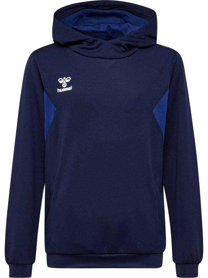 

Худи Hummel Hmlauthentic Multisport Kinder, синий