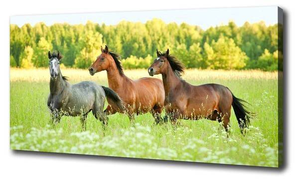 

Фреска Tulup Pferde im Galopp, зеленый