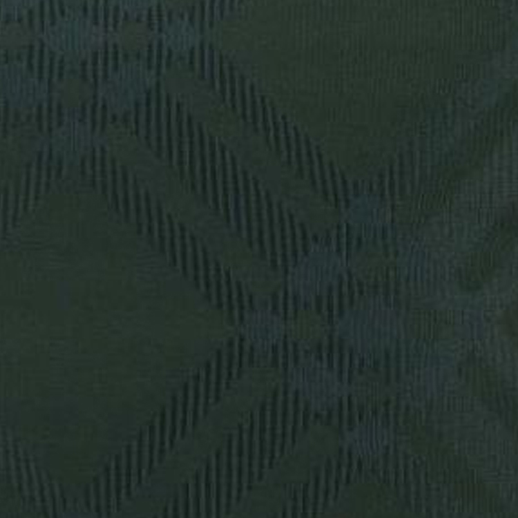 Burberry Жаккардовая клетчатая сумка-кроссбод Green — фото 3