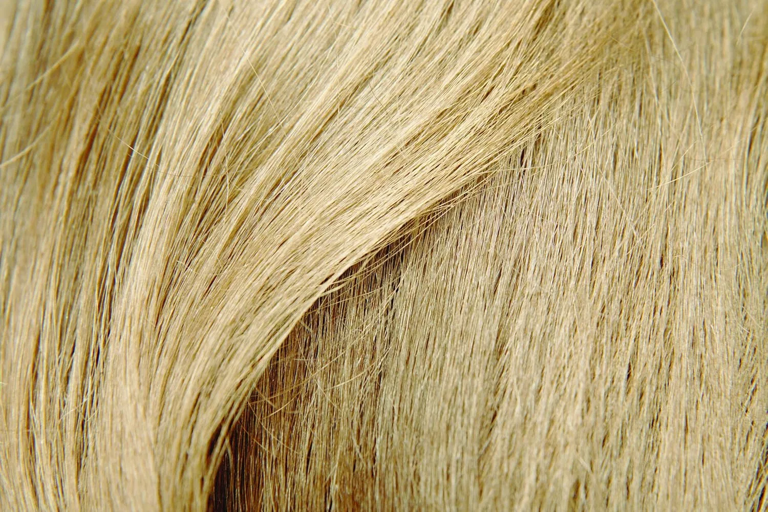 Спрей для утолщения волос Hairfor2 Hairfor 2 — фото 4