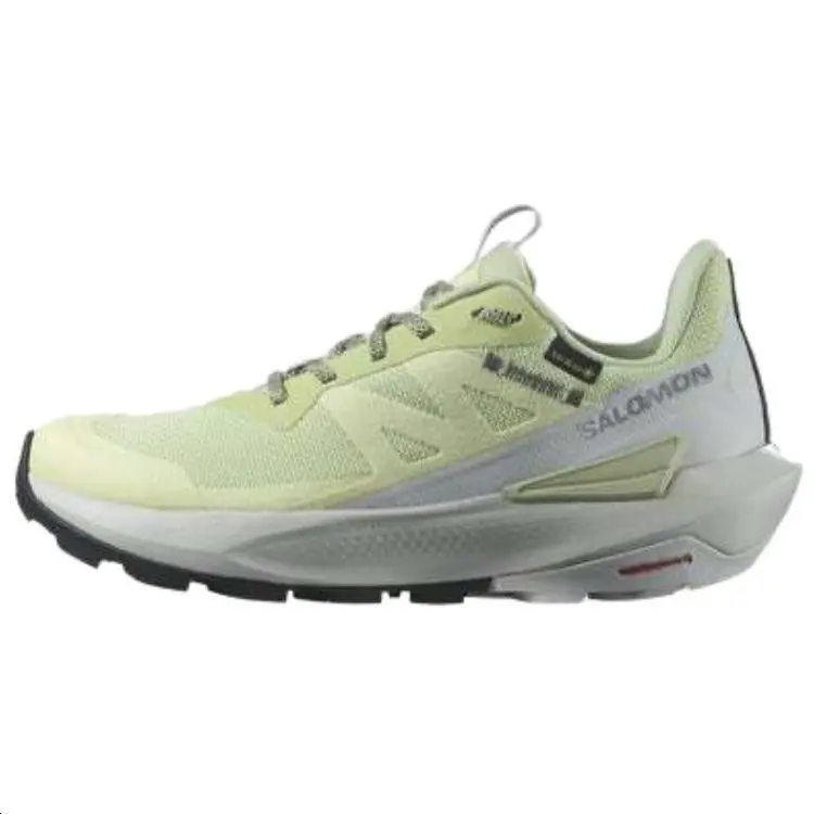 

Женский Elixir Activ GORE-TEX 'Celadon Green' Salomon