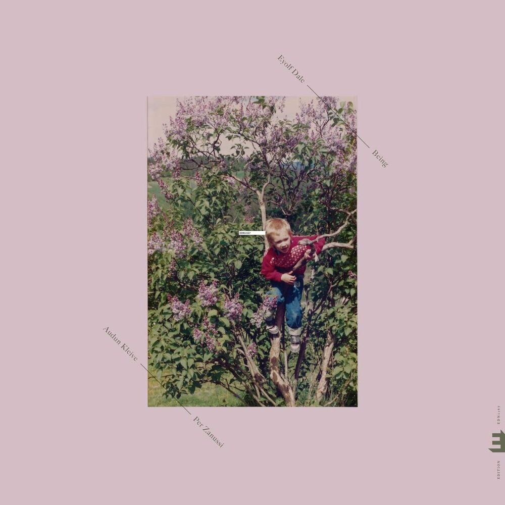 

Диск CD Being - Eyolf Dale