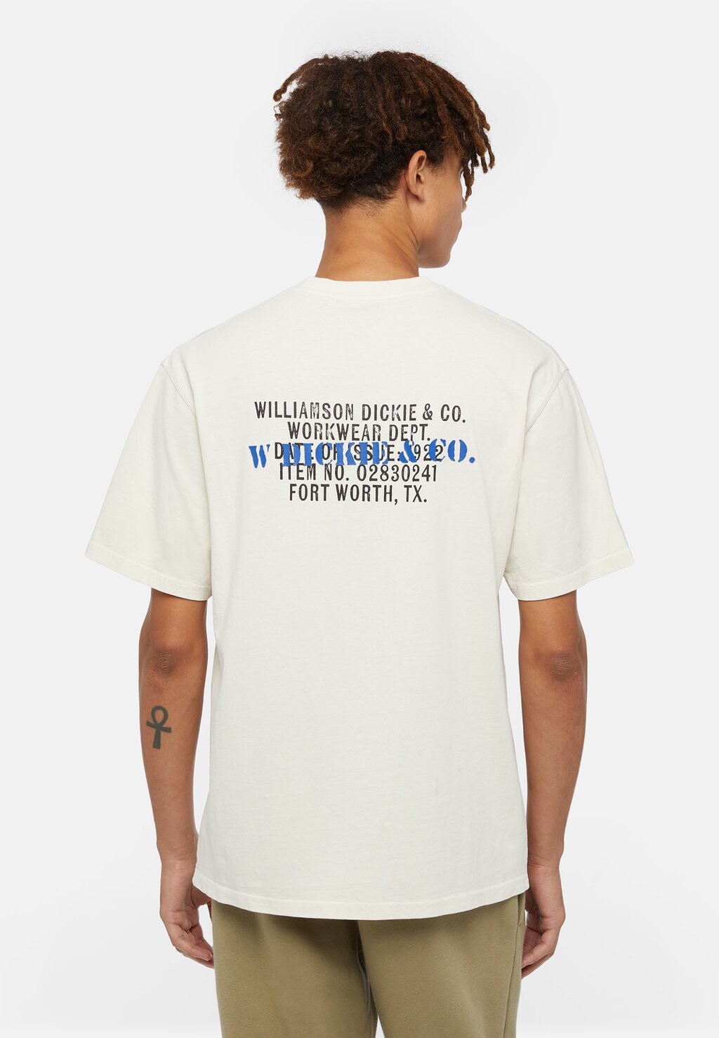 

Футболка с принтом STAMP TEE Dickies, белый