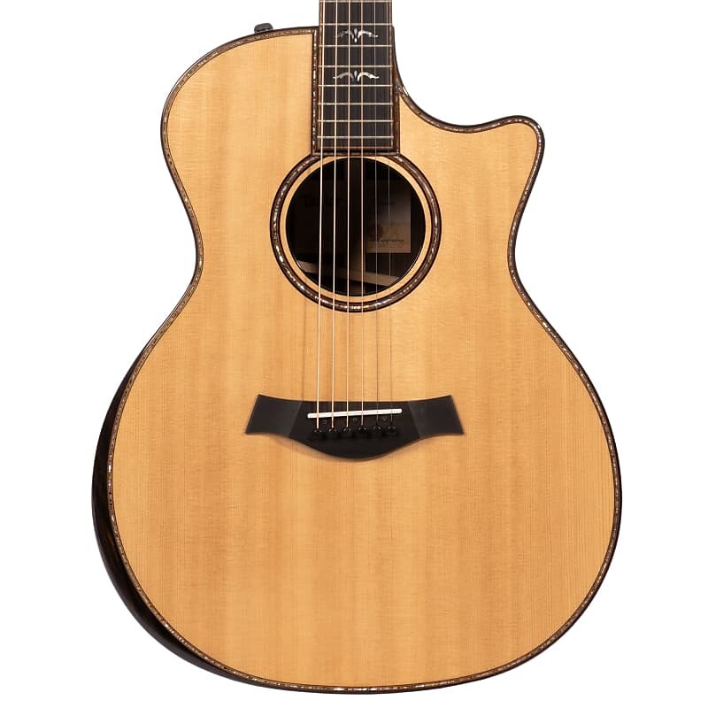 

Акустическая гитара Taylor 914ce Grand Auditorium Acoustic Electric Guitar w/ Hardshell Case - #21153