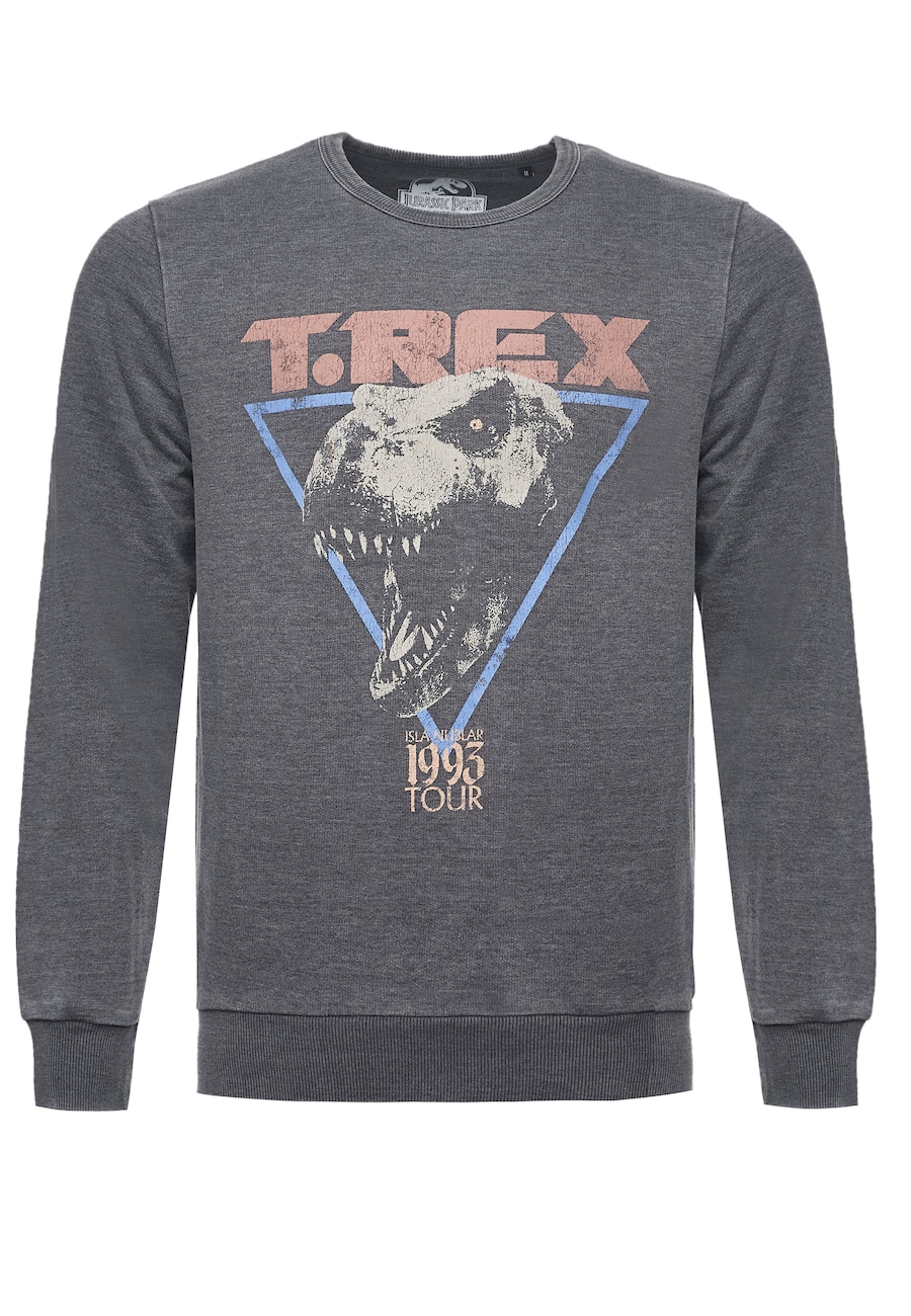 

Толстовка Recovered Jurassic Park T-Rex 1993, серый
