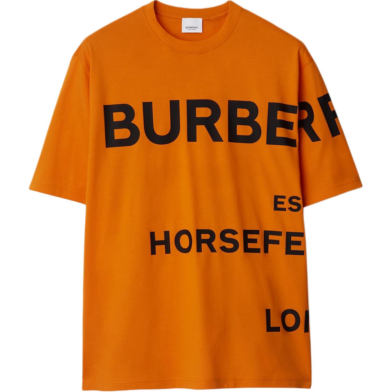 Футболка мужская Orange Crew Neck Straight Fit Burberry, оранжевый — фото 3