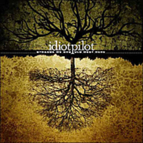 

CD диск Idiot Pilot: Strange We Should Meet Here