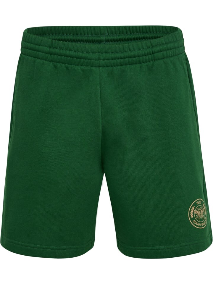 

Шорты Hummel Verstellbare Taille Shorts Hmlswarm Erwachsene, цвет EDEN