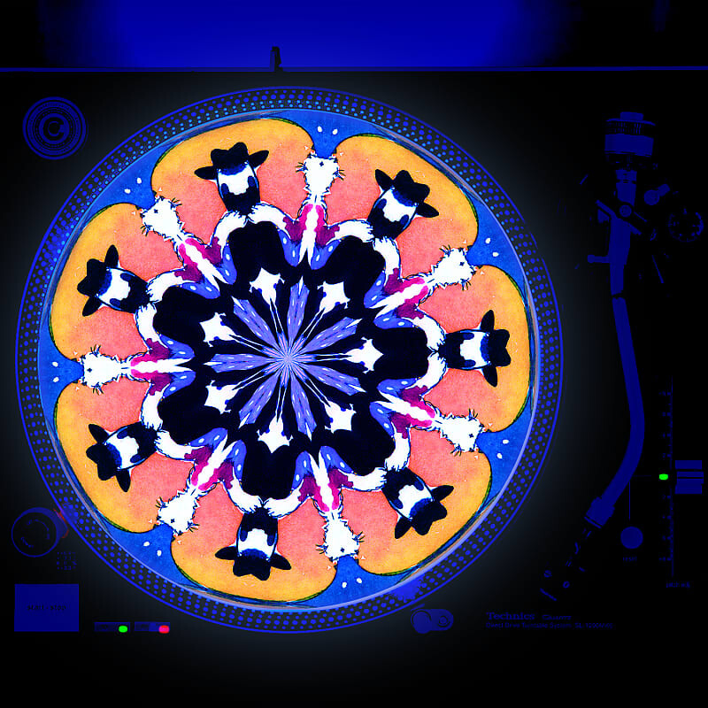 

Проигрыватель Sunshine Design sdoslipmat