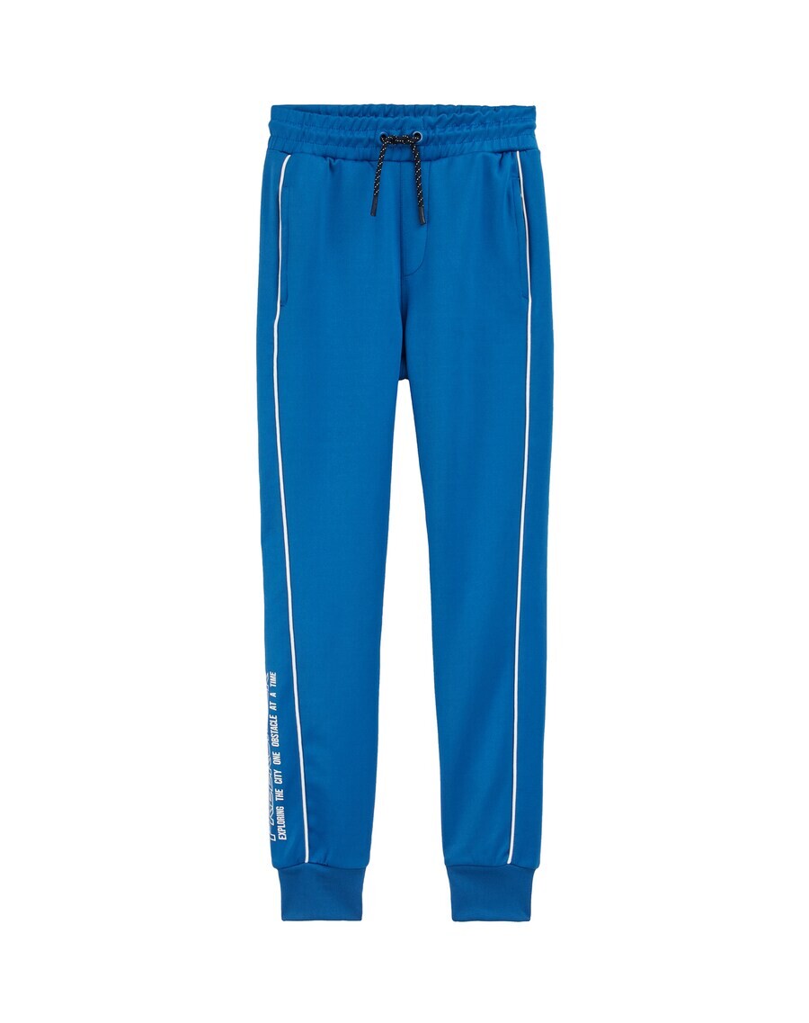 

Брюки WE Fashion Regular Pants, цвет Cobalt blue