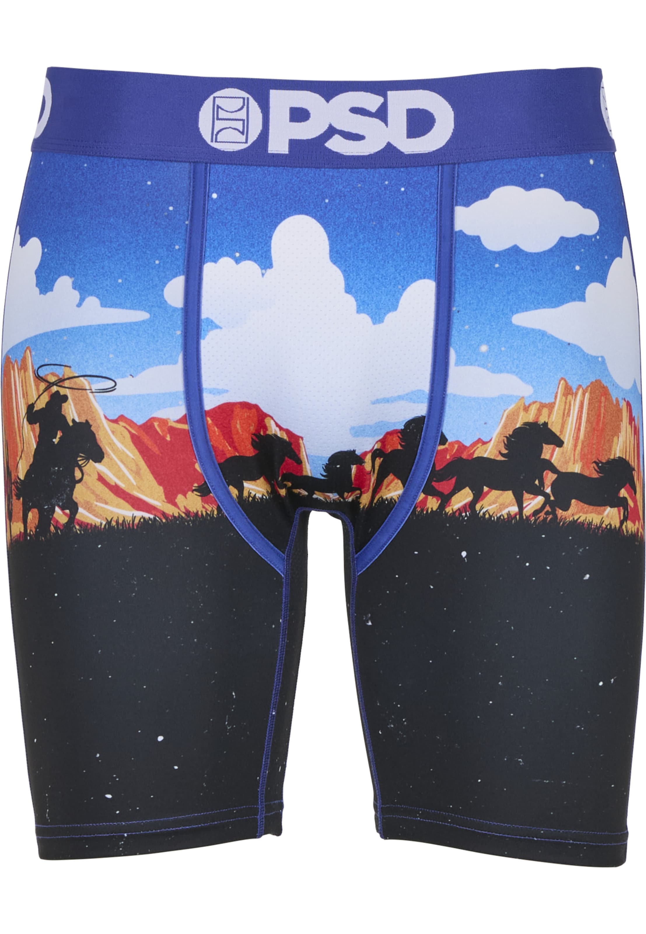 

PSD Боксеры 'ACE HIGH', мультиколор