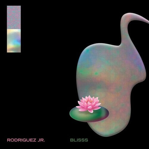 

Виниловая пластинка Rodriguez Jr: Blisss
