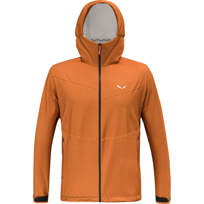 

Мужская куртка Puez Aqua 4 PTX 2,5л Salewa, цвет Burnt Orange