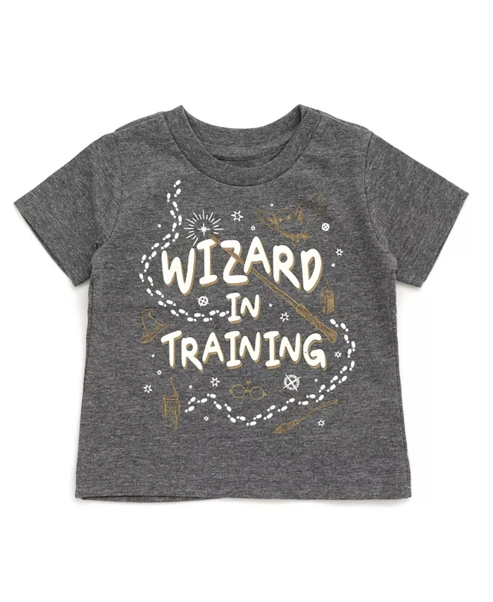 

Футболка для взрослых в семейном стиле Baby Boys Matching Harry Potter, серый