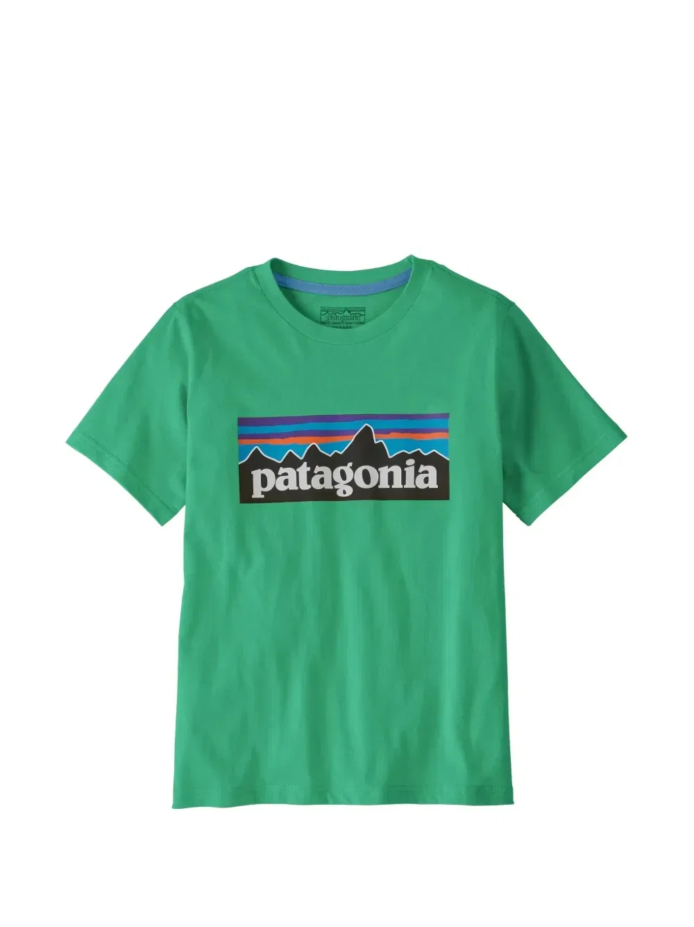 Футболка с принтом логотипа P-6 Patagonia Kids, зеленый