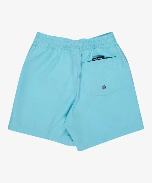 Плавки Quiksilver Everyday Solid VL BO синие — фото 4