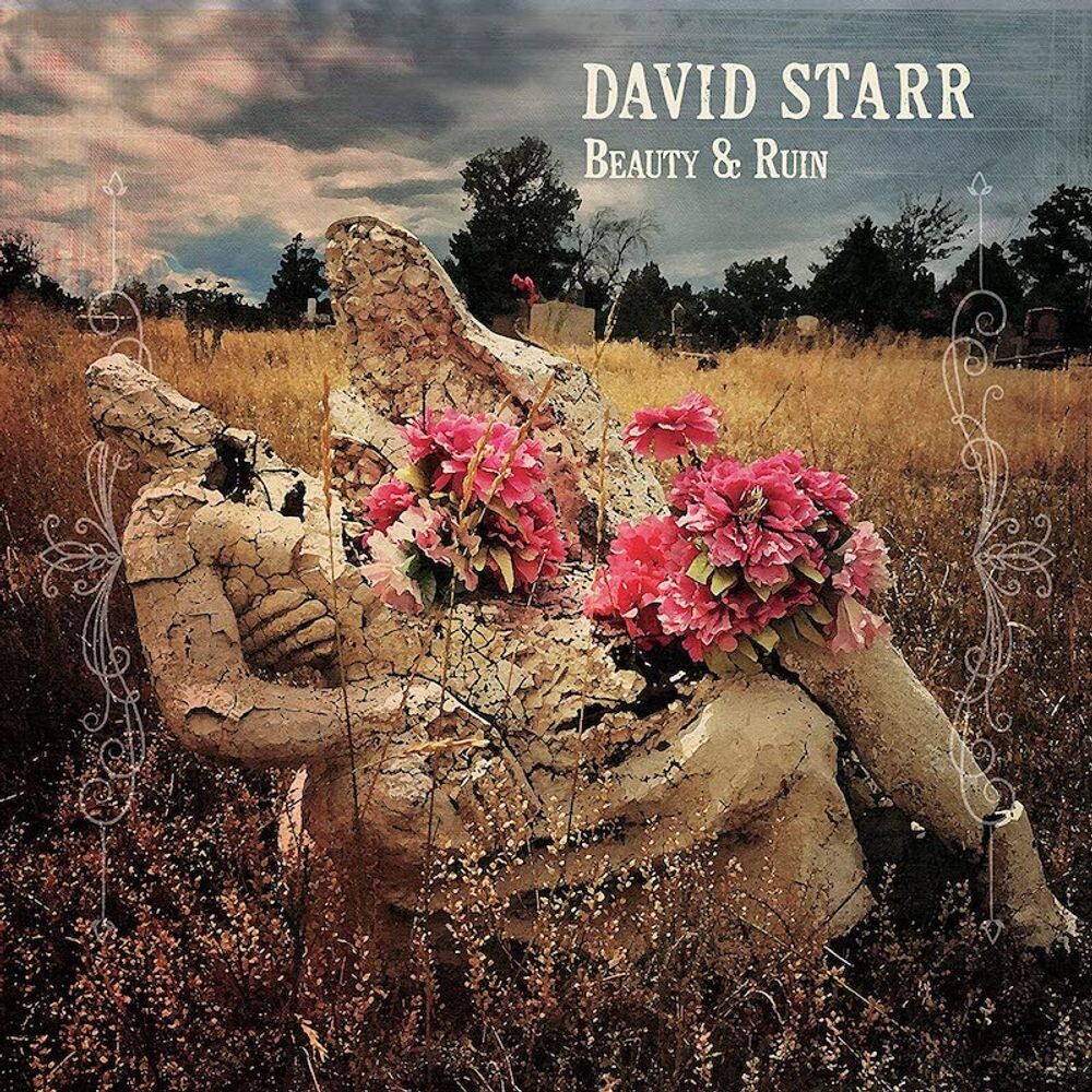 

Диск CD Beauty & Ruin - David Starr