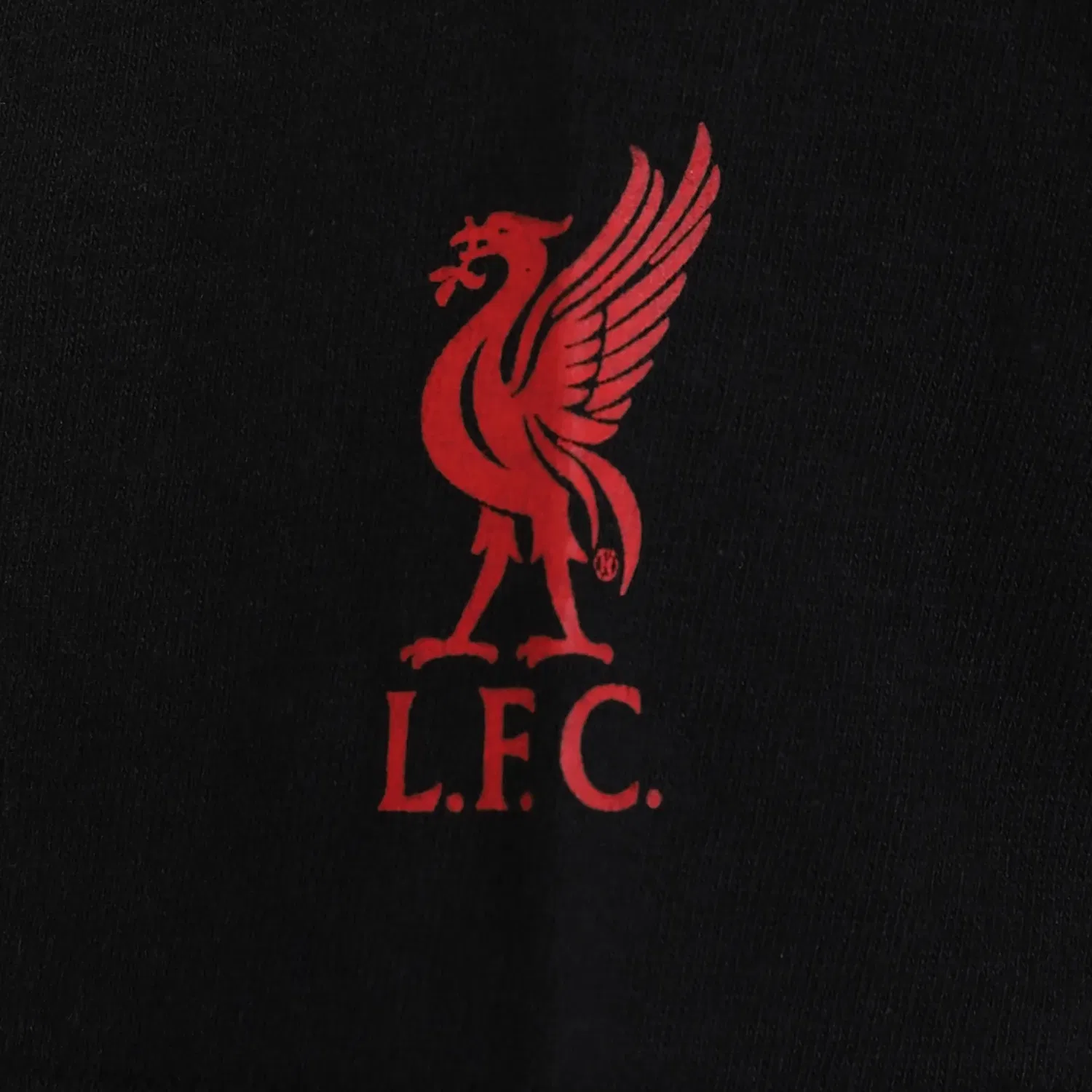 Детская футболка с принтом Liverpool FC, черный — фото 3