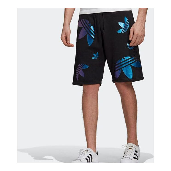 

Шорты originals blue logo printing casual shorts black Adidas, черный