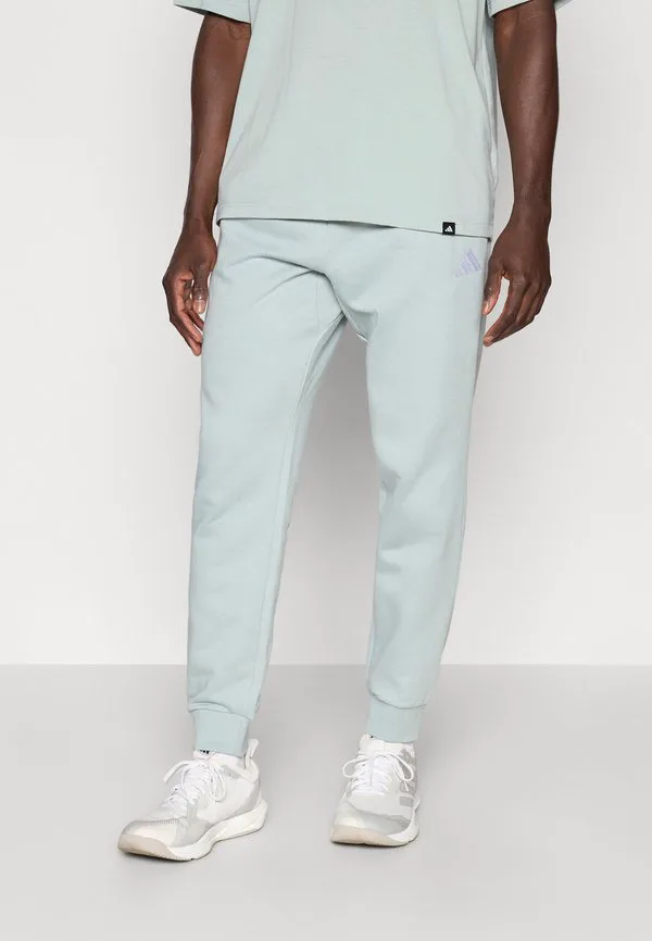 Удобные спортивные штаны Adidas Sportswear, Sage/White
