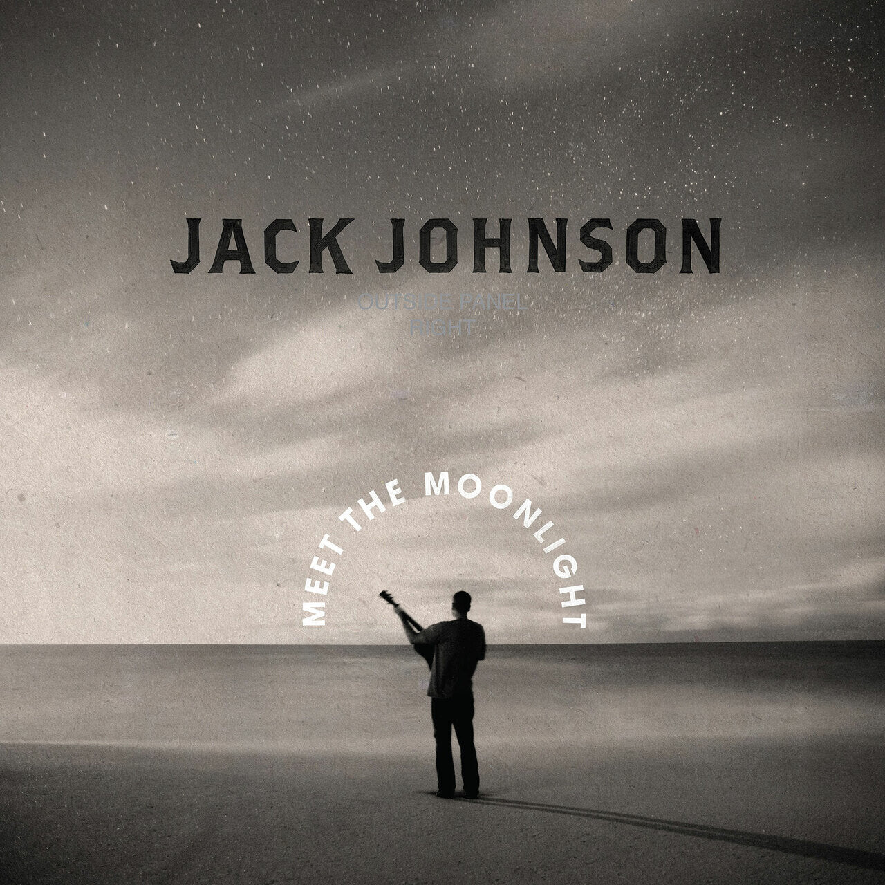 

Виниловая пластинка Johnson, Jack - Meet The Moonlight