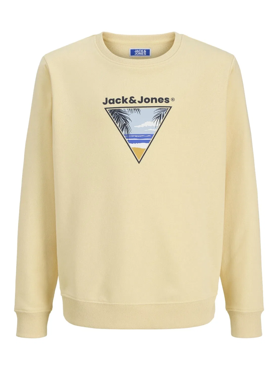 Свитшот с принтом JACK & JONES Junior, sunlight