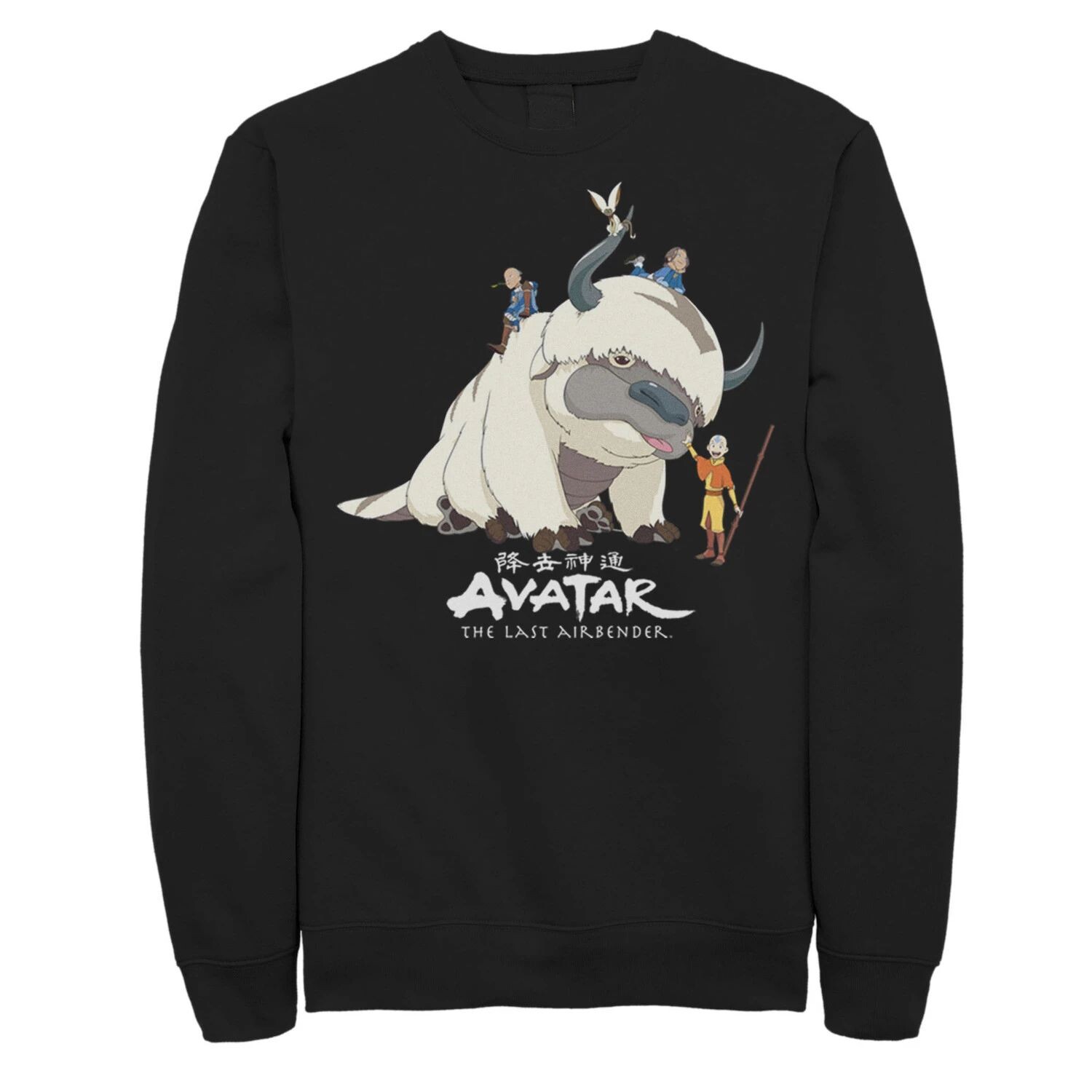 

Мужской свитшот Avatar: The Last Airbender Appa Ride Group Shot Licensed Character
