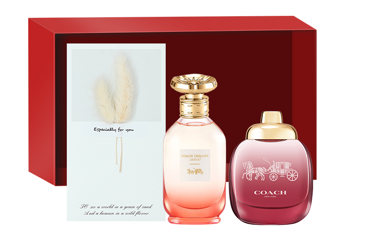 

Женская туалетная вода new york образец комплекты одежды два предмета туалетная вода 4,5мл*2 COACH