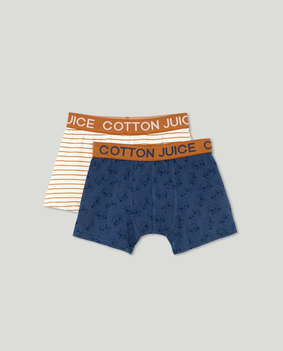 

Комплект из 2 боксеров для мальчиков Cotton Juice, мультиколор