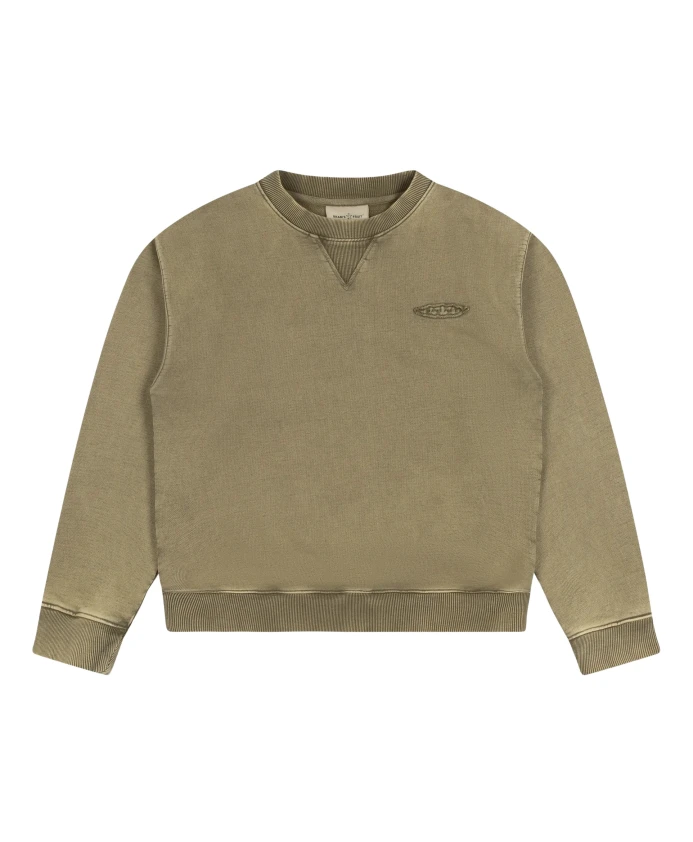 

Уничтоженный садовый свитер с круглым вырезом Bram'S Fruit, зеленый