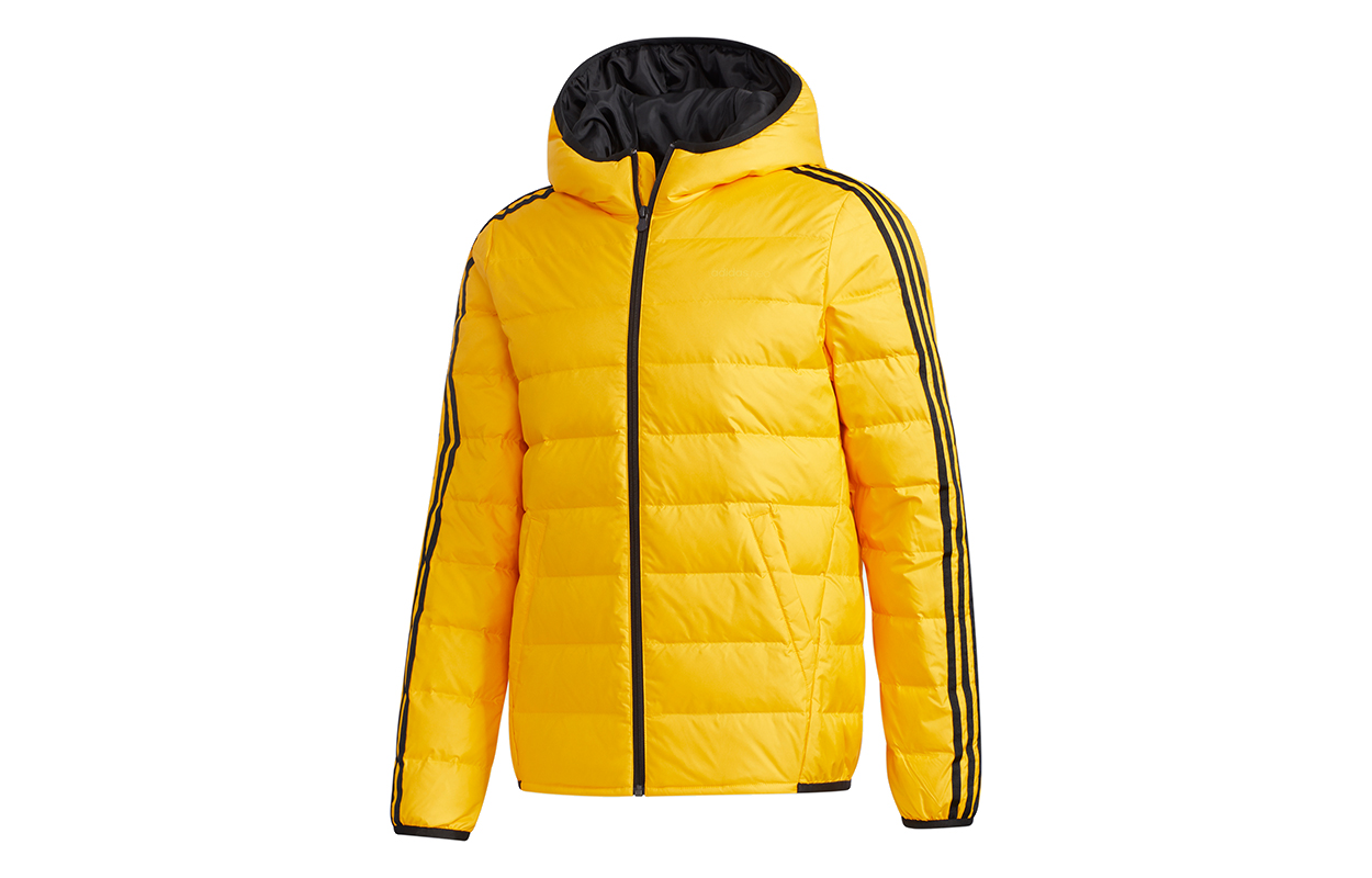 

Пуховик мужской Gold Adidas Neo, Золотой, Пуховик мужской Gold Adidas Neo
