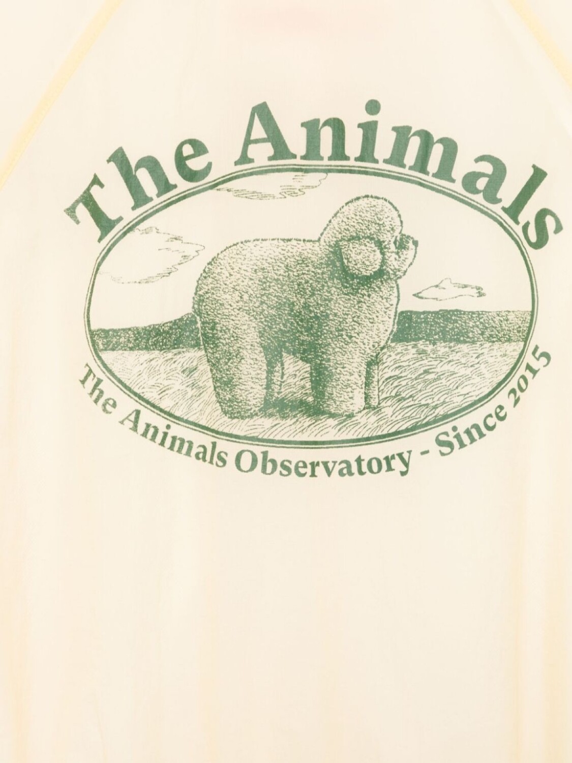 The Animals Observatory ветровка с капюшоном, нейтральный цвет — фото 3