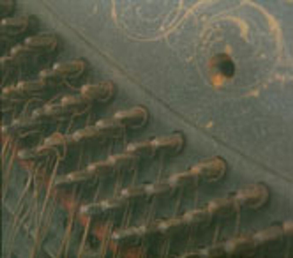

Диск CD You, You're a History In Rust - Do Make Say Think
