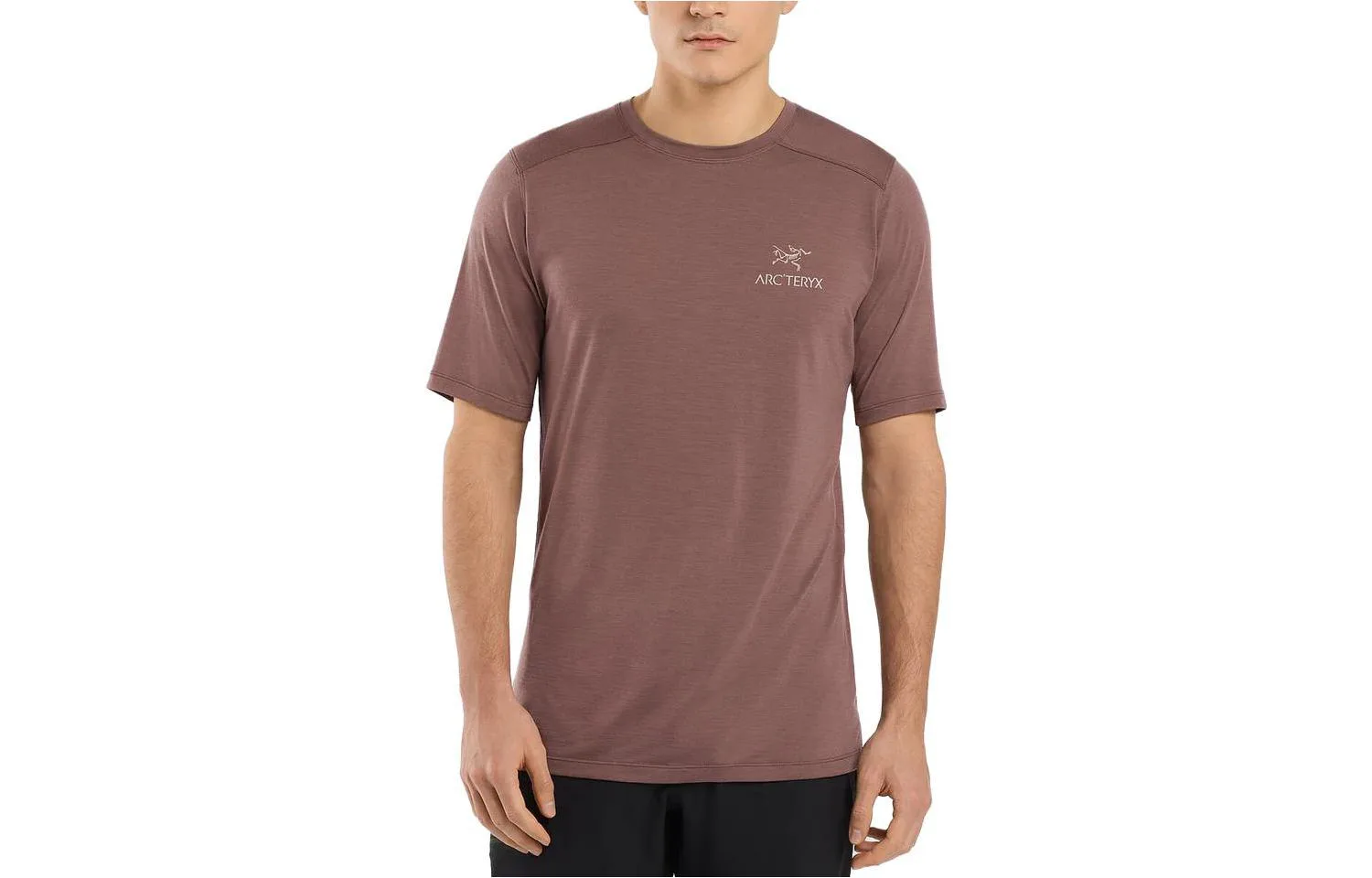 Футболка Ionia Merino Wool мужская с круглым вырезом, умеренно прямой крой Arcteryx, Lampyre/Rock Green — фото 3