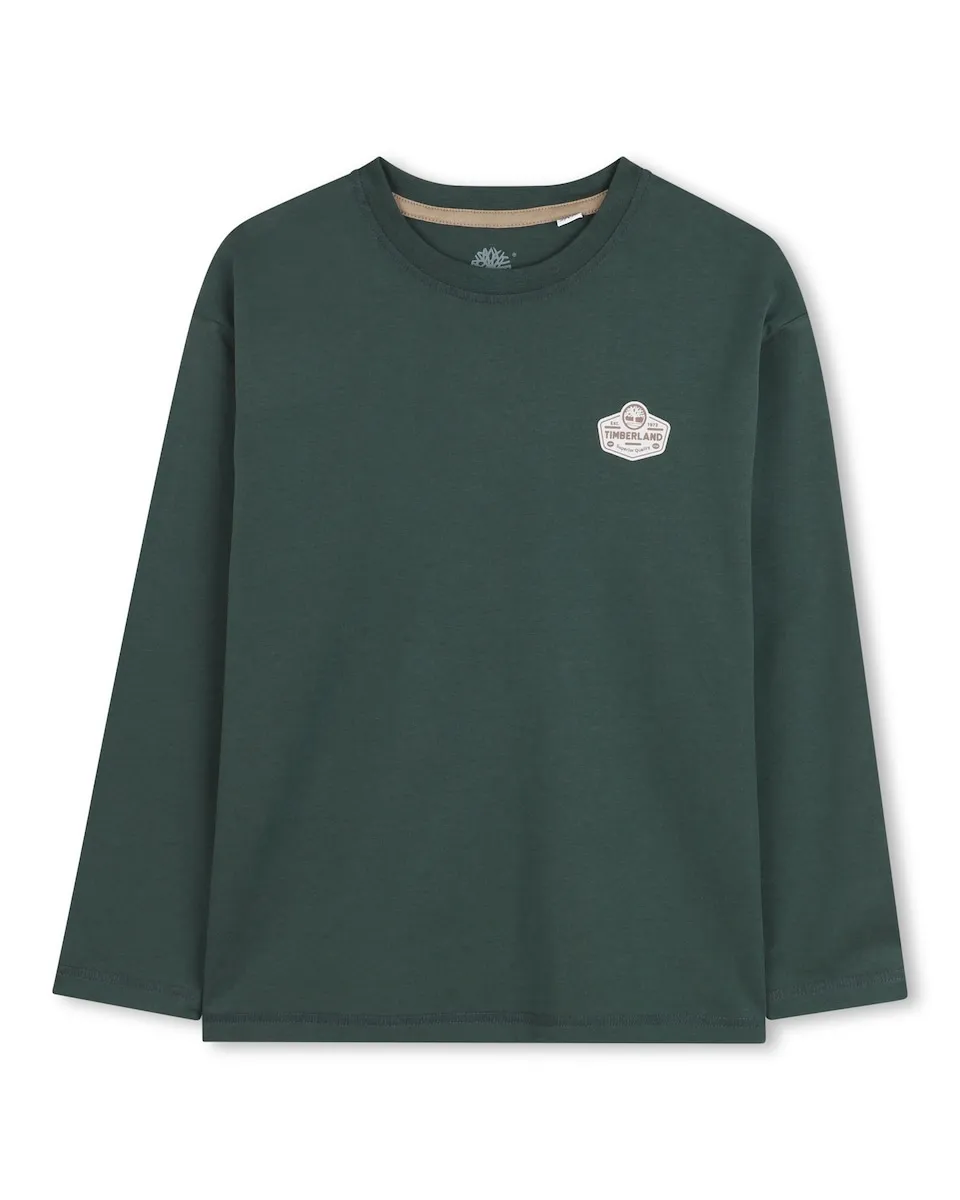 

Детская хлопковая футболка Timberland, темно-зеленый