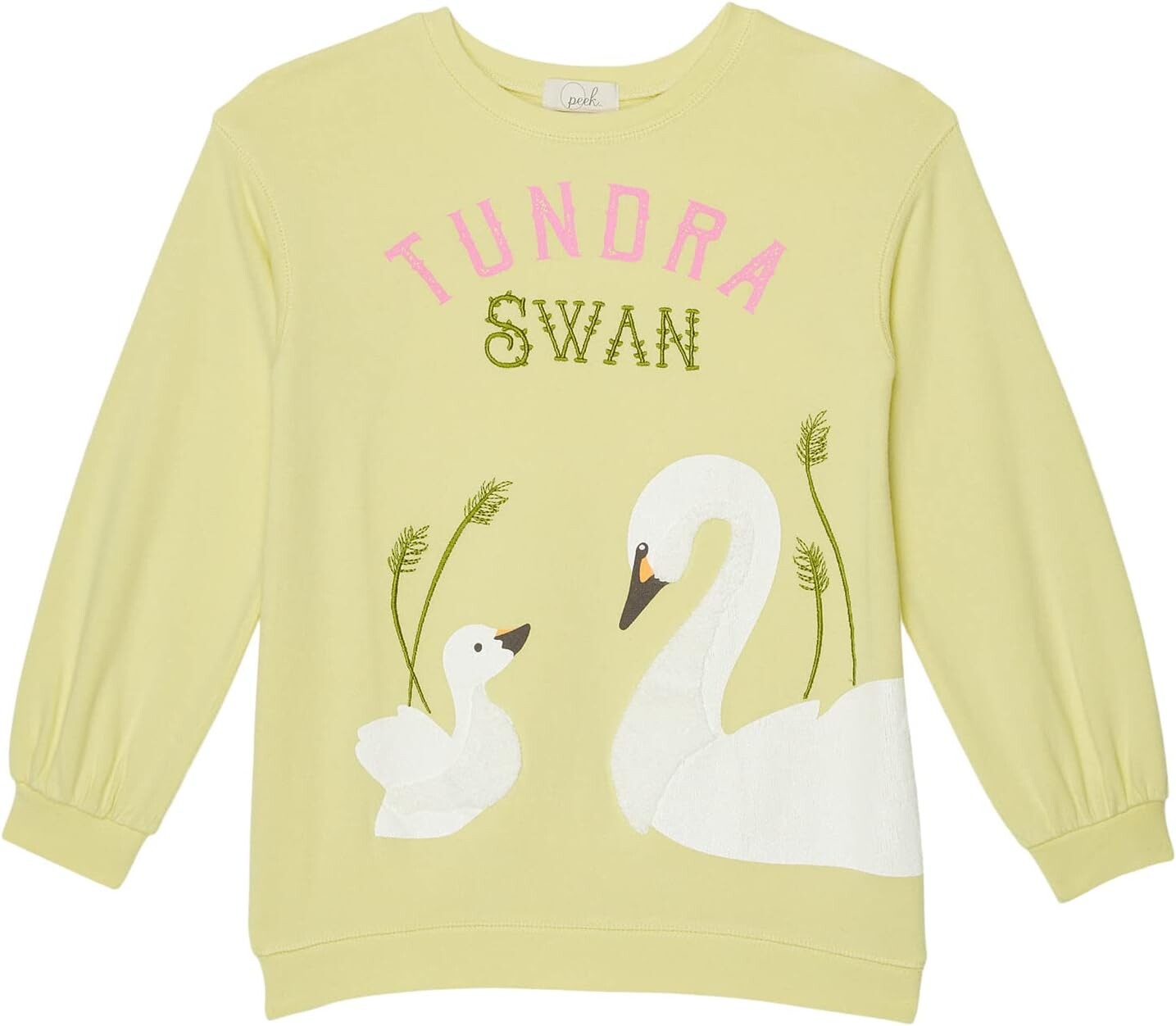 

Толстовка PEEK Peek X The Nature Conservancy Swan Sweatshirt, цвет Lime