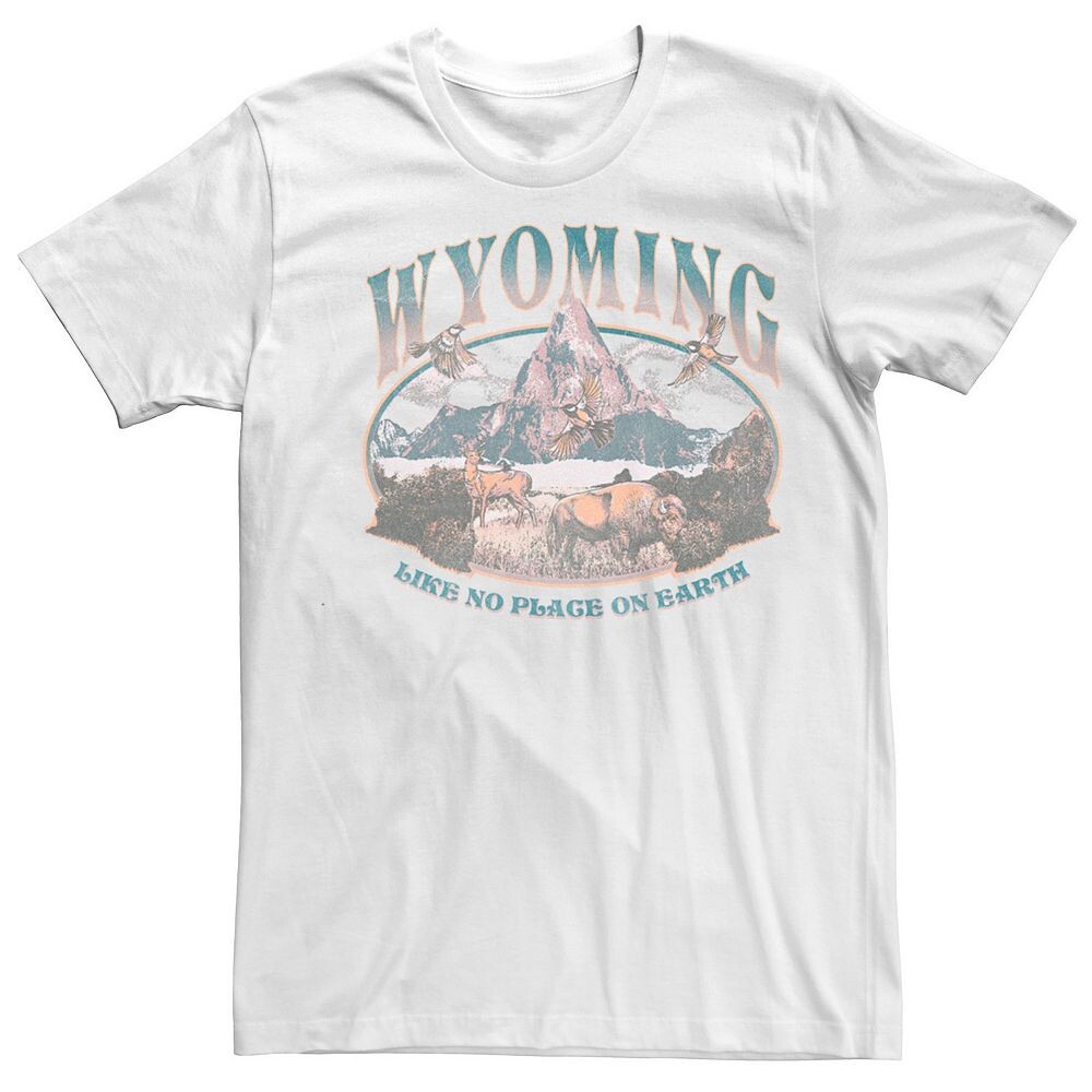 

Мужская футболка Wyoming Like No Place On Earth Mountain Scene Licensed Character, белый