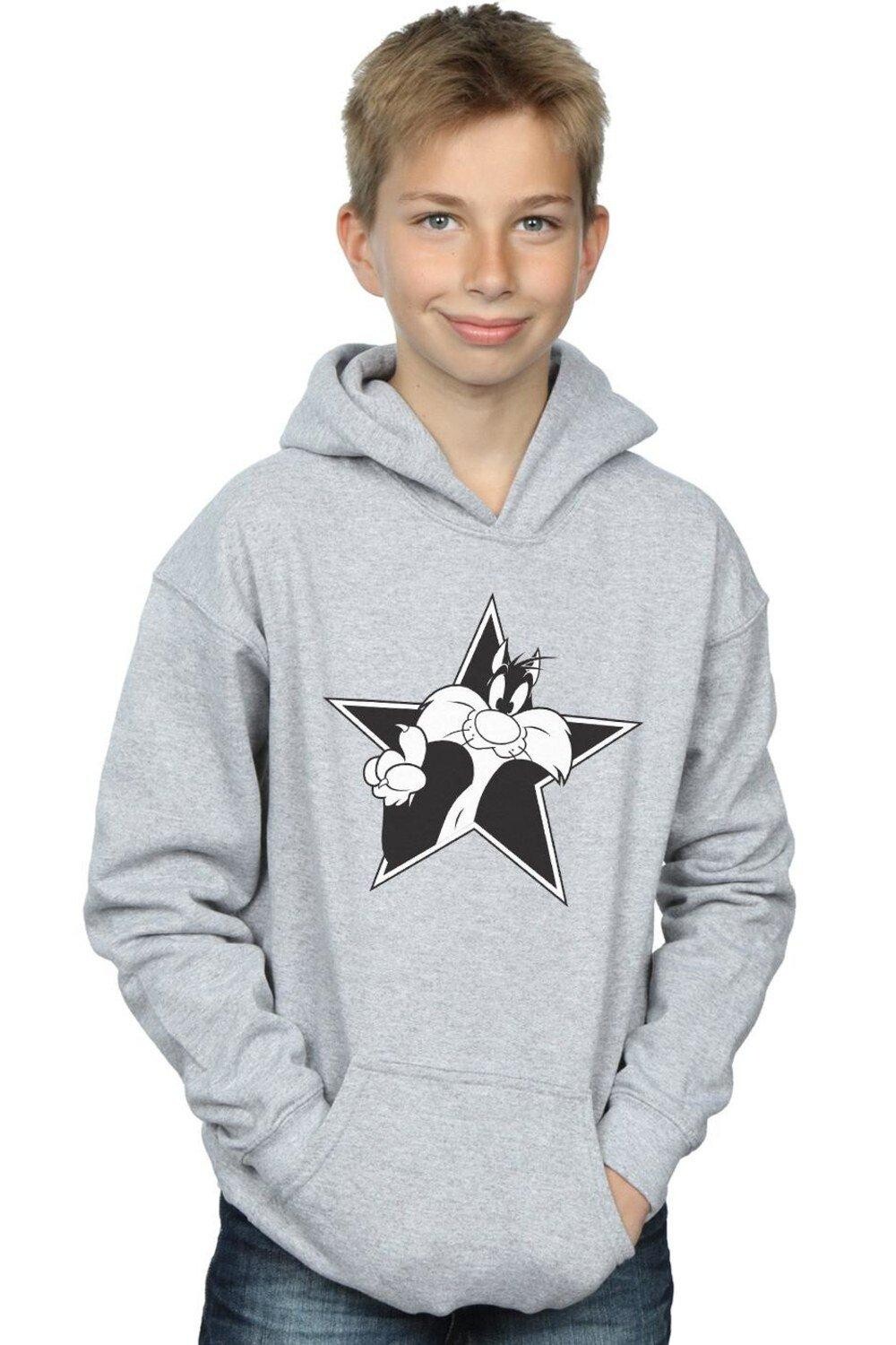 

Толстовка Sylvester Mono Star Looney Tunes, серый