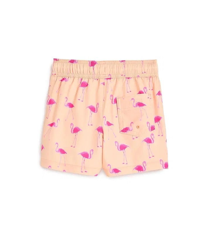 Плавки Core Poly Swim Trunks abercrombie kids, Bellini — фото 2