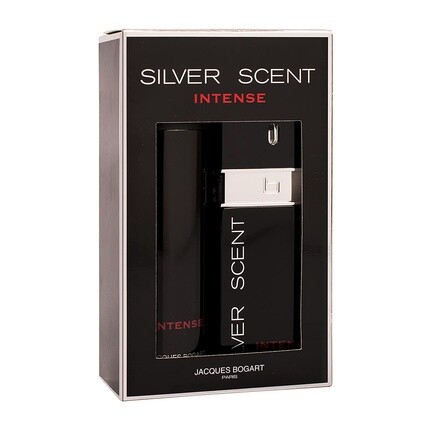 Мужская парфюмерная вода Silver Scent Intense Man Etui 100ml