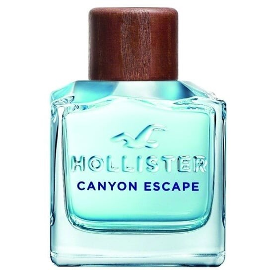 

Туалетная вода, 100 мл Hollister, Canyon Escape Man