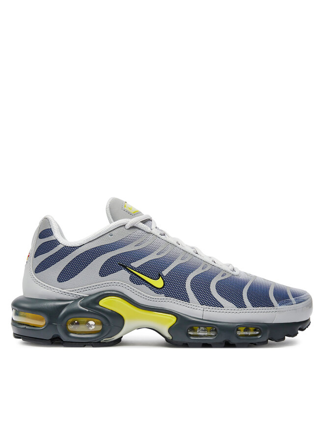 

Кроссовки Air Max Plus FZ4622 Nike, серый